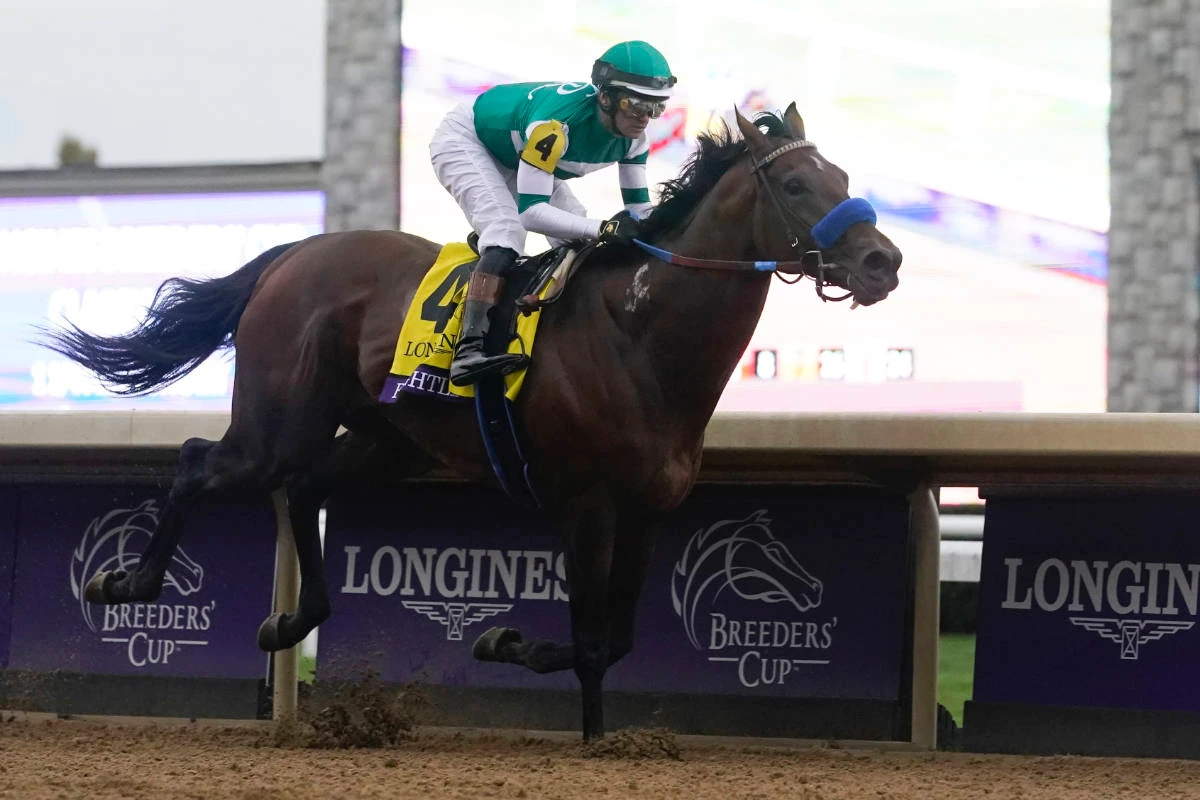 Flightline pulls away for majestic win in Breeders’ Cup Classic