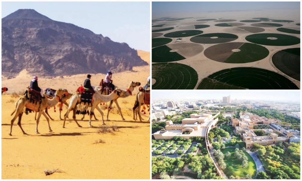 Extended nature reserves and support for wildlife and endangered species are part of a wide-ranging Saudi environmental program. (King Salman bin Abdulaziz Royal Natural Reserve, RCU)