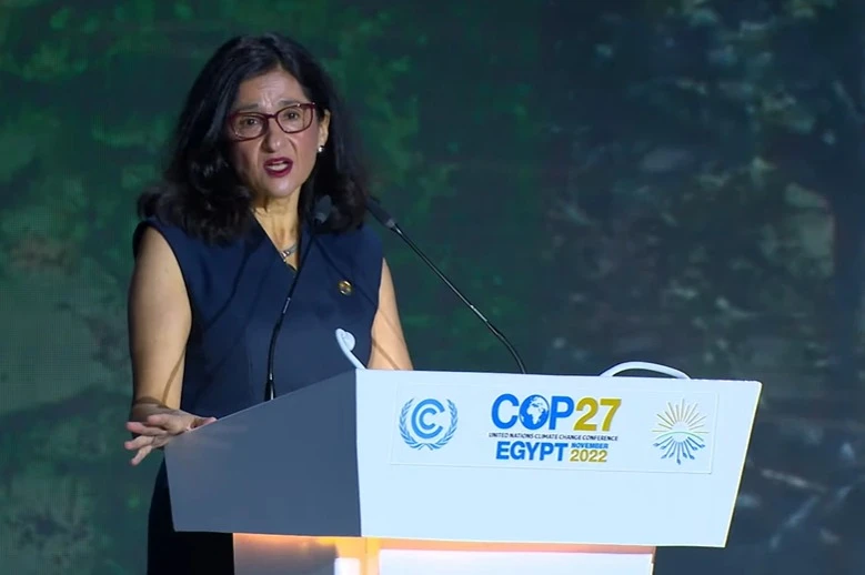 Africa can be renewable powerhouse if resources are explored wisely: Top expert