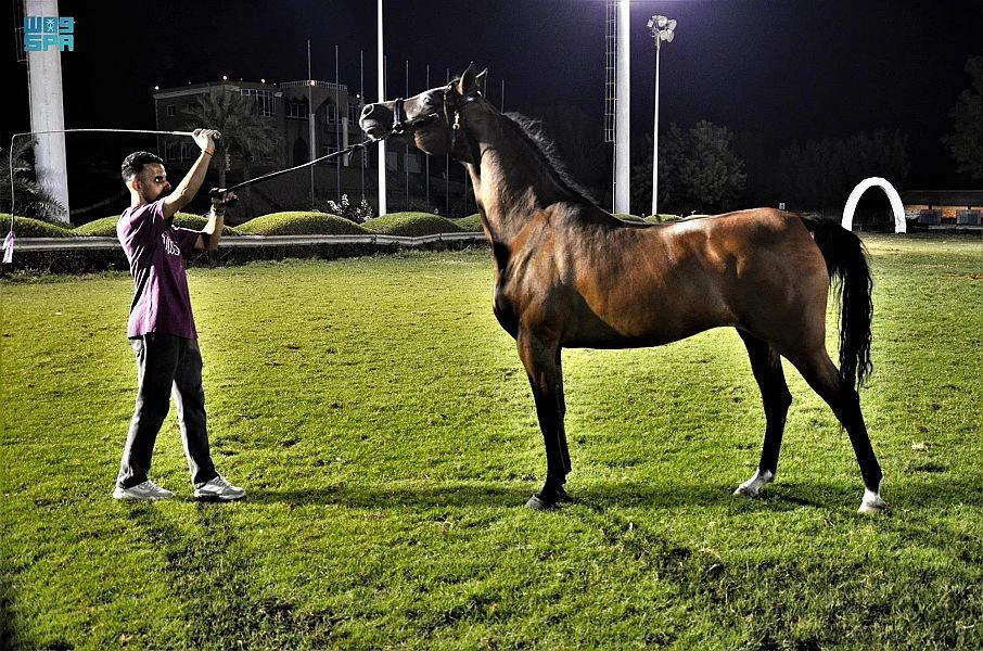 The Makkah Arabian Horse Show 2022 gets underway on Thursday at Sawary Farms in Jeddah. (SPA)