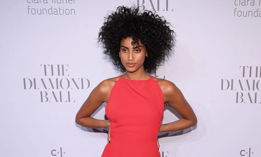 Imaan Hammam has appeared on the runway for major fashion houses and is a red carpet regular. (AFP)