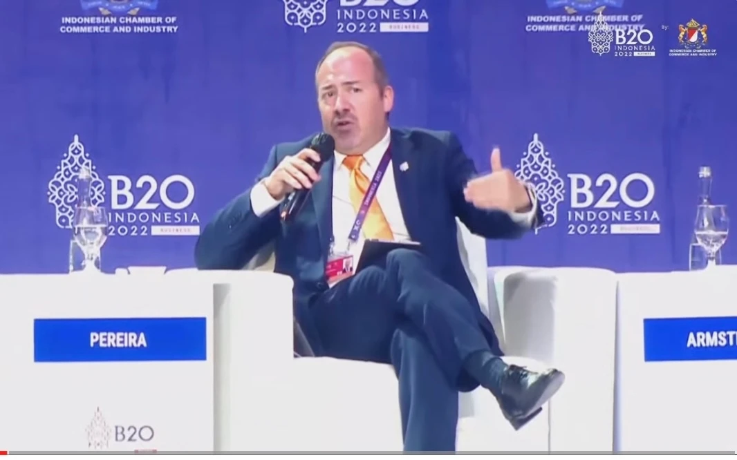 Global annual green financing demands set to reach $3tn by 2030: G20 official