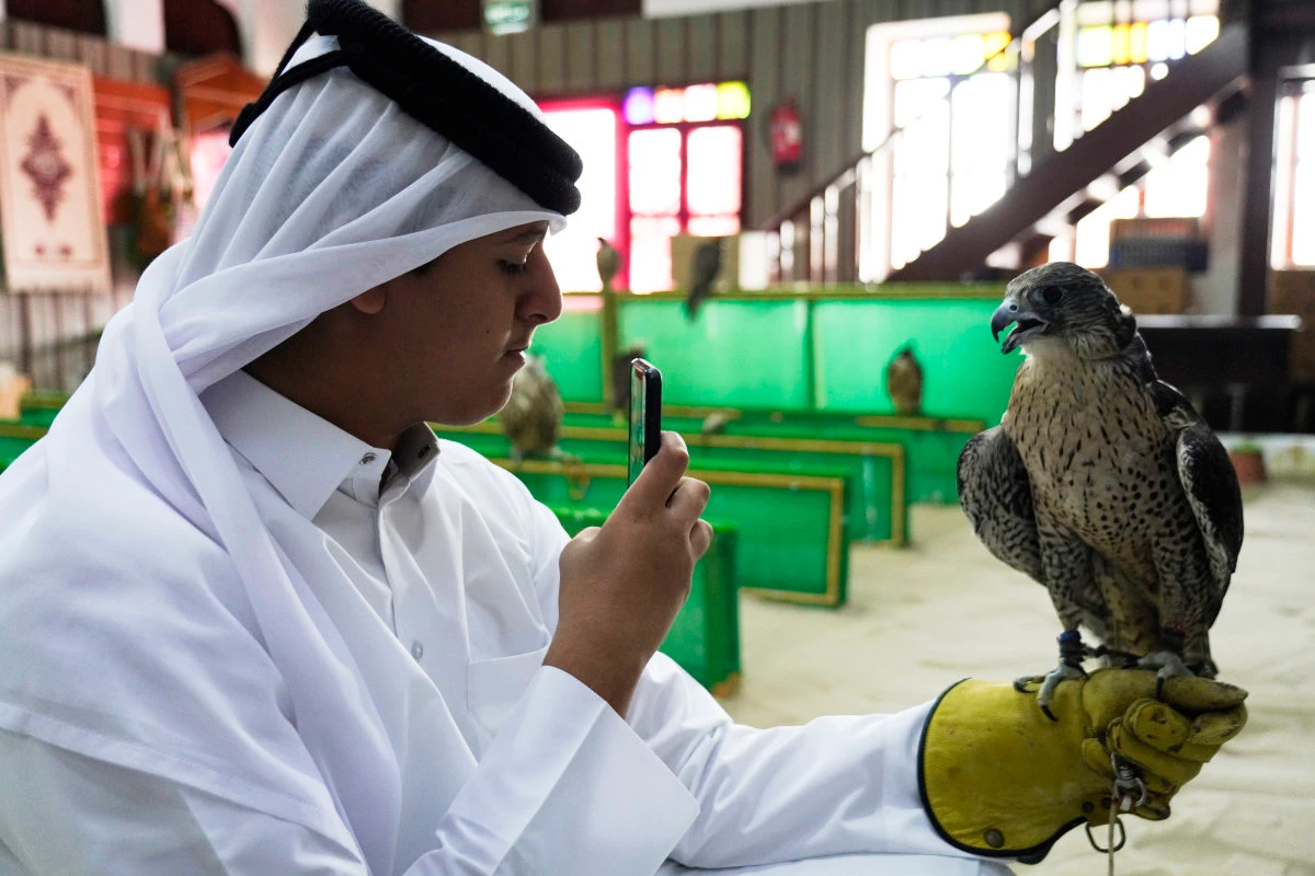 Falcon tradition inspires passion in World Cup host Qatar