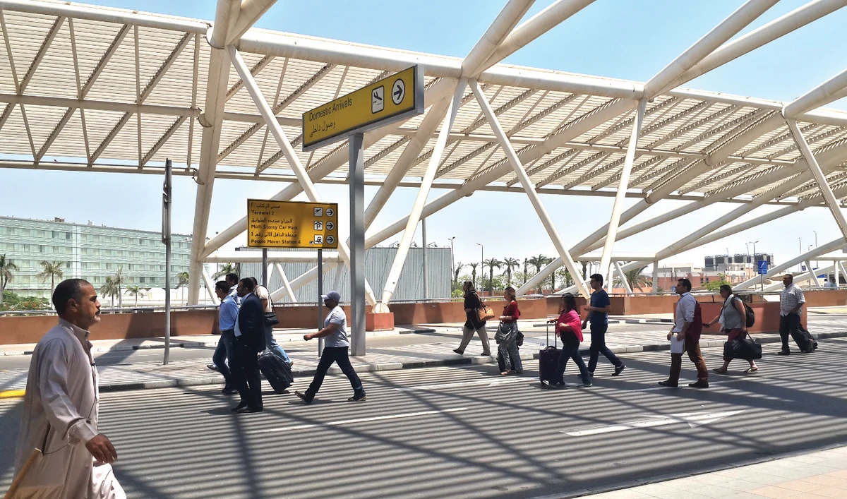 Cairo airport customs foil Lebanon ivory smuggling bid