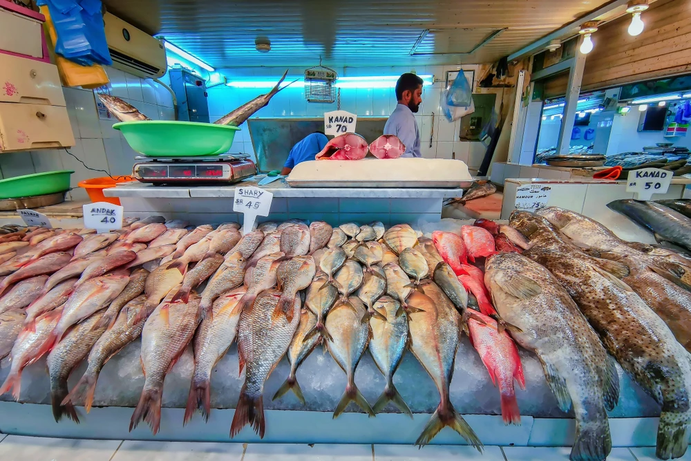 Saudi fish production to touch 119,000 tons in 2022, offering 59% self-sufficiency