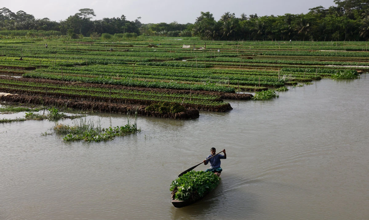 Bangladesh’s urea imports from Middle East up 15% as local supply dwindles