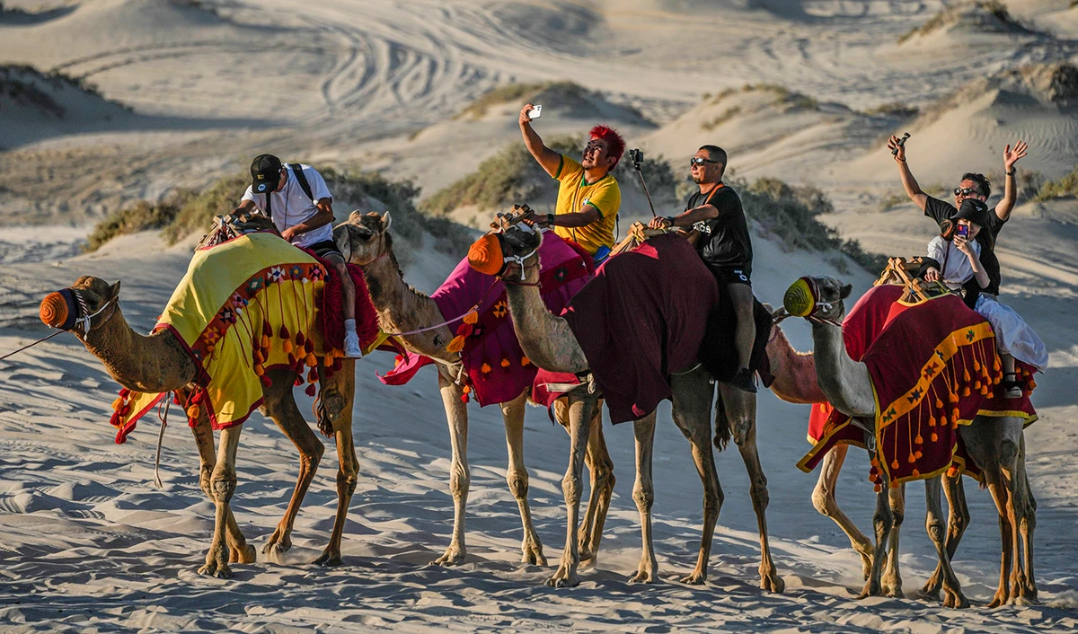 People take selfies while riding camels in Mesaieed, Qatar on November 26, 2022. (AP)