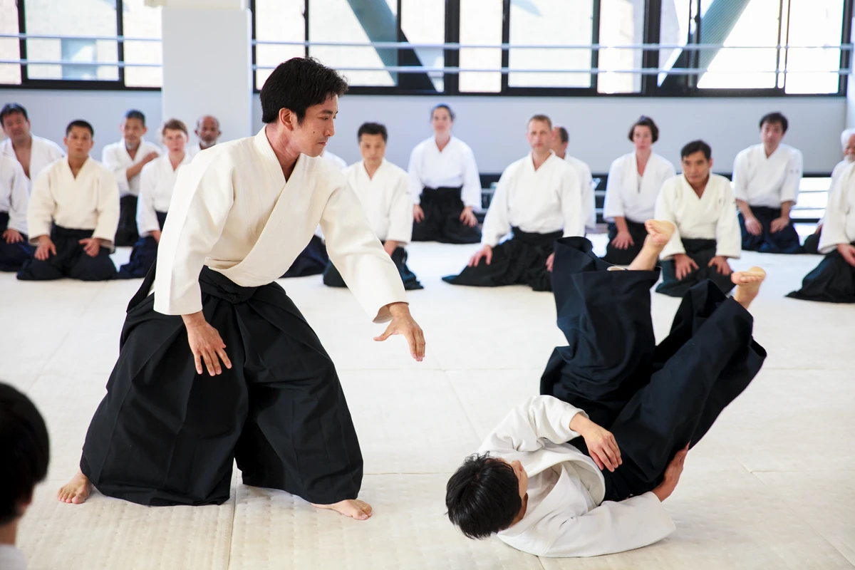 Martial art
