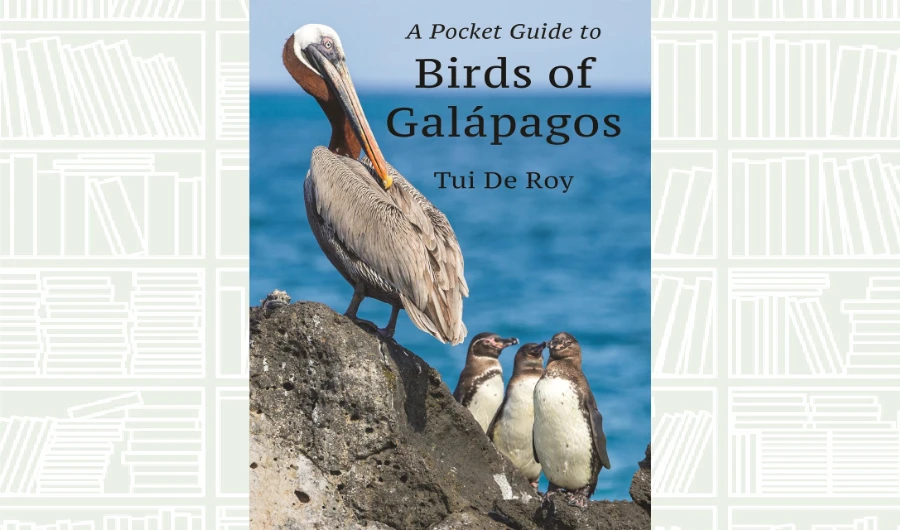 What We Are Reading Today: A Pocket Guide to Birds of Galapagos
