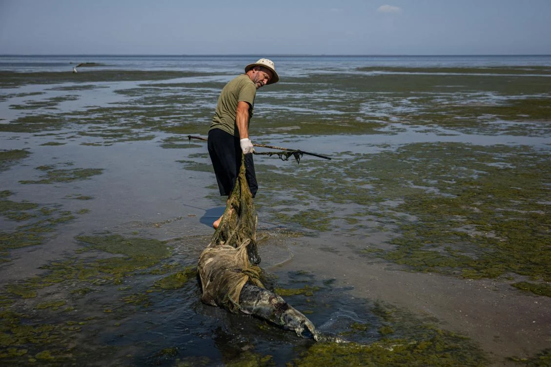 Ukraine conflict intrudes on UN biodiversity summit