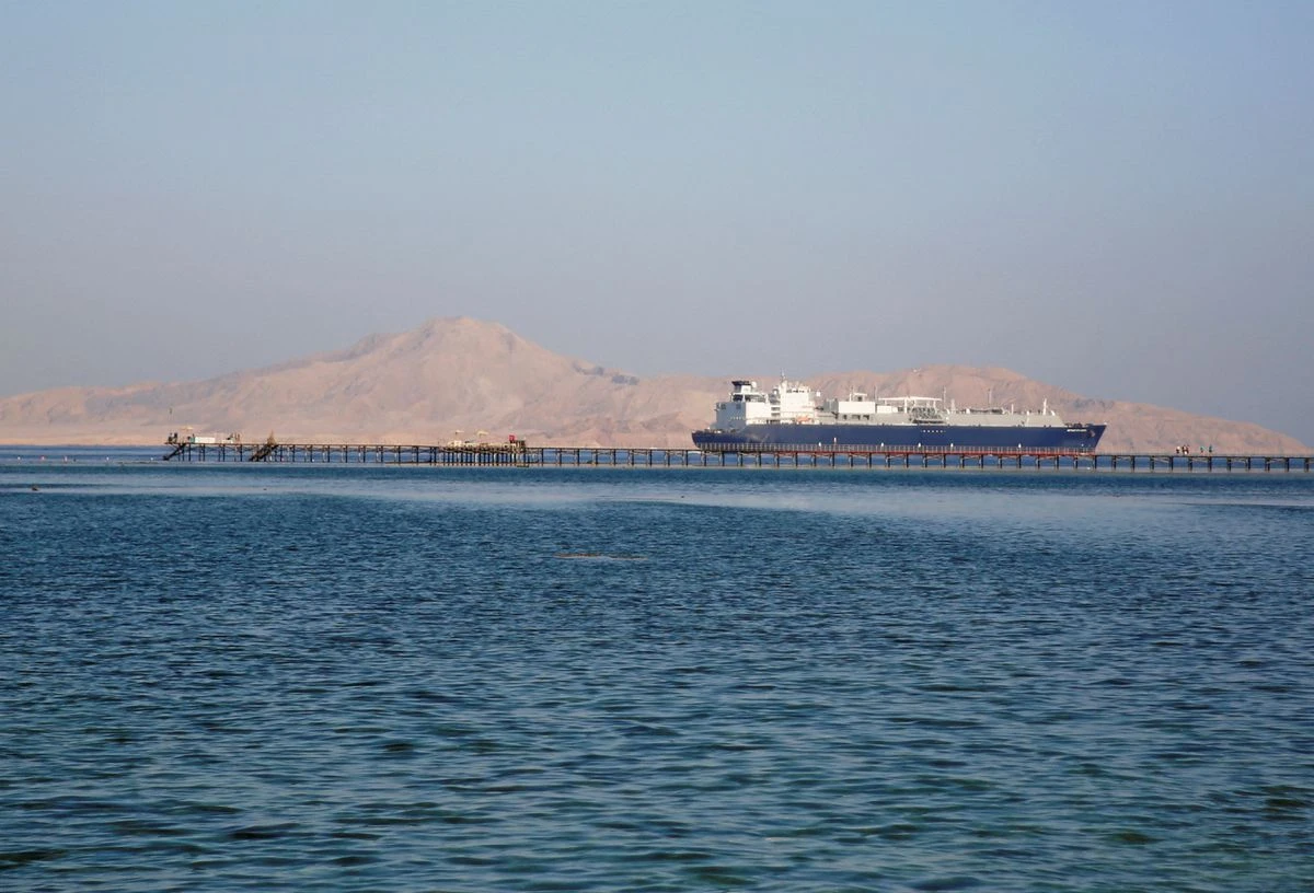 A container ship passes by a beach in the Aqaba Gulf. (Reuters)