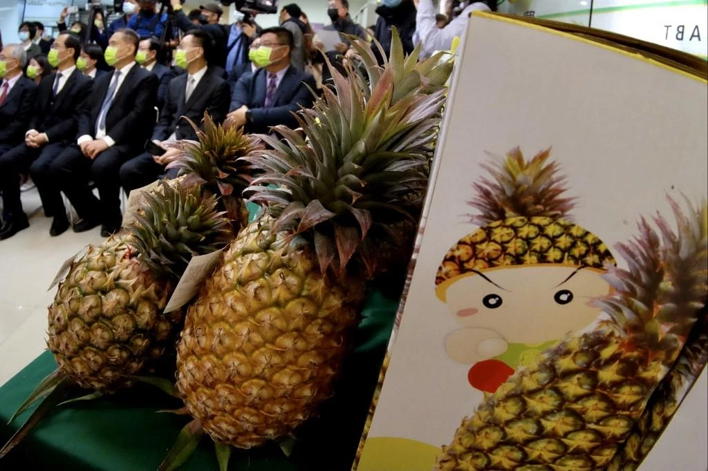 Pineapple imports were earlier halted after Chinese authorities claimed to have discovered pests in shipments, just as Taiwan’s annual harvest was under way. (AFP file photo)