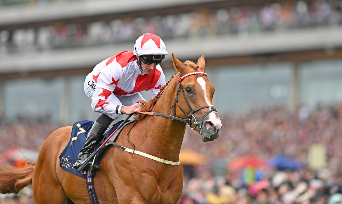 Saudi Cup double win is aim of top UK horse trainer