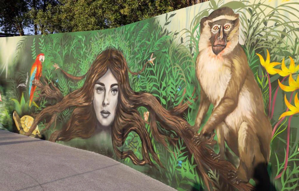 Saudi female graffiti artist hopes to showcase artwork across Kingdom
