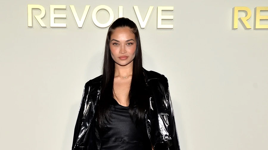Shanina Shaik welcomed her first baby in September. (File/ Getty Images)