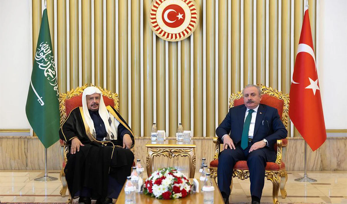 During the meeting, several issues of common interest between the two countries were discussed. (SPA)
