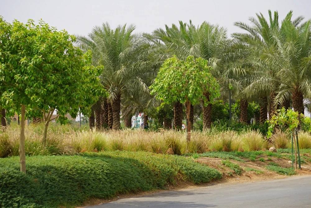 The planned sustainable developments align with Saudi Arabia’s aims for economic diversification. (Shutterstock)