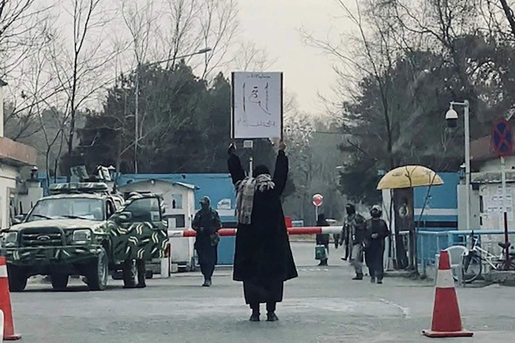 Afghan professor rips up diplomas on live TV to protest women university ban