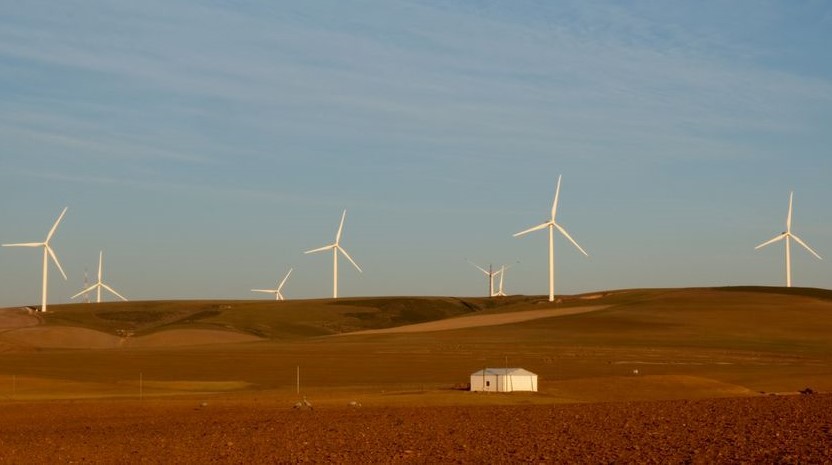Wind turbines produce renewable energy outside Caledon, South Africa, May 20, 2020. (Reuters)
