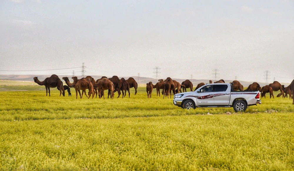 Photo/Saudi Press Agency