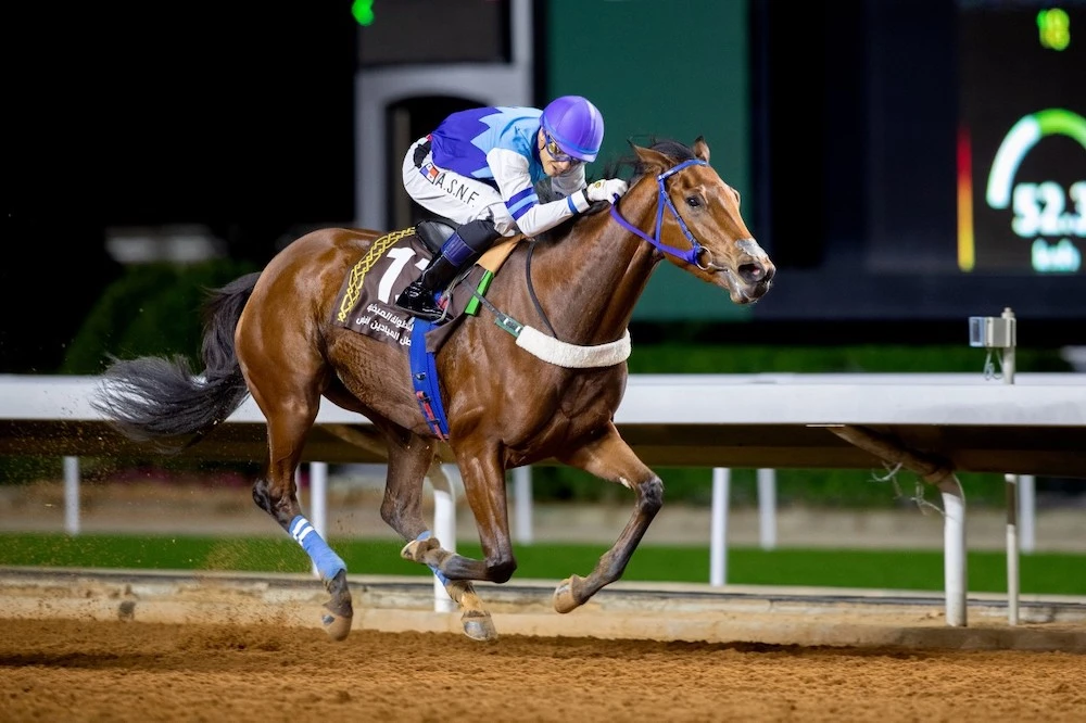 Jockey Club of Saudi Arabia to host 8th edition of Kings and Princes Cups Festival