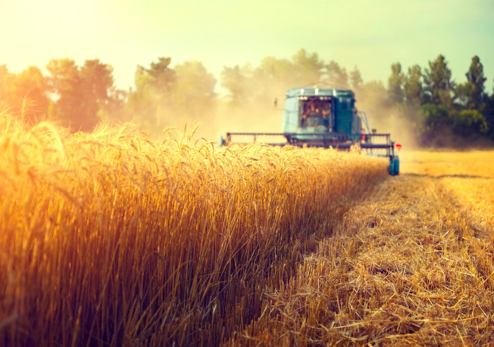 Saudi Agricultural and Livestock Co bought a minority share in Olam Agri in December (Shutterstock)