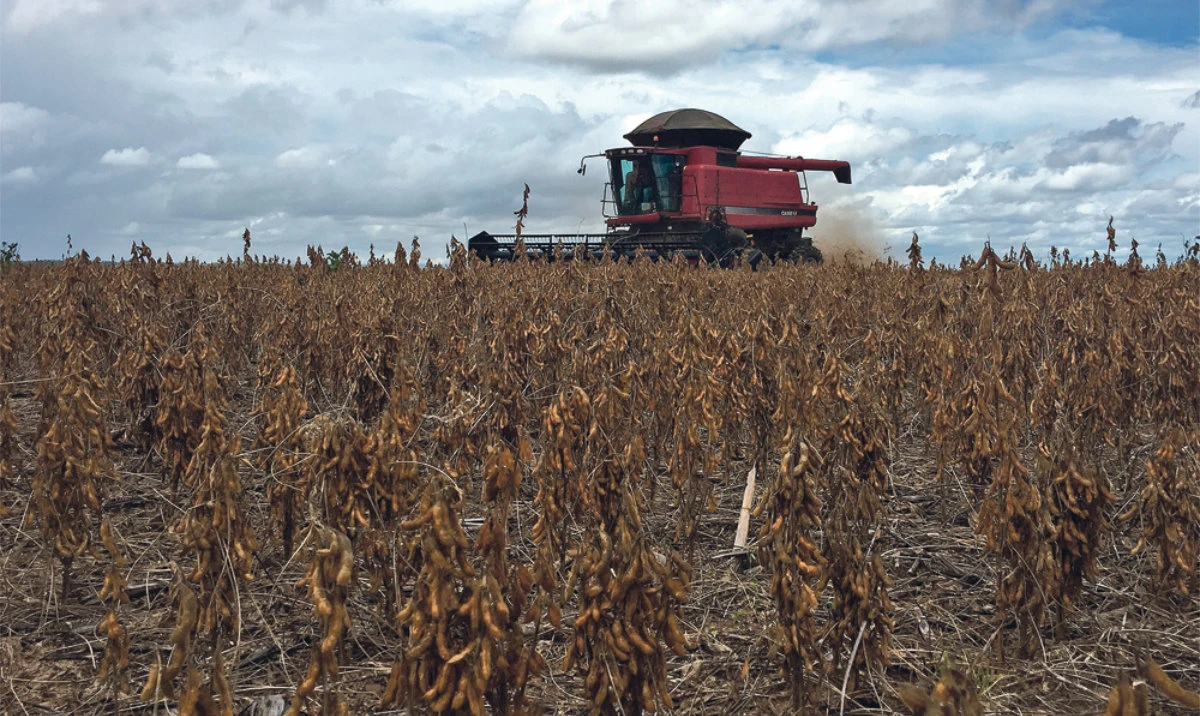 Argentine grain harvests threatened by persistent drought