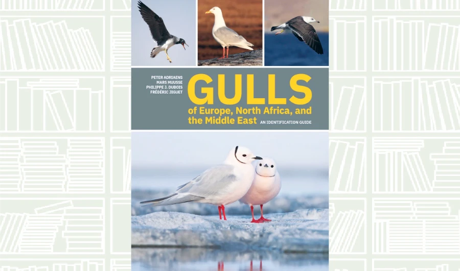 What We Are Reading Today: Gulls of Europe, North Africa, and the Middle East