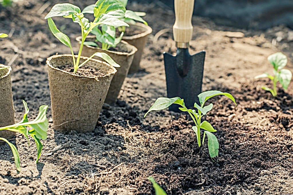 Eco-gardening