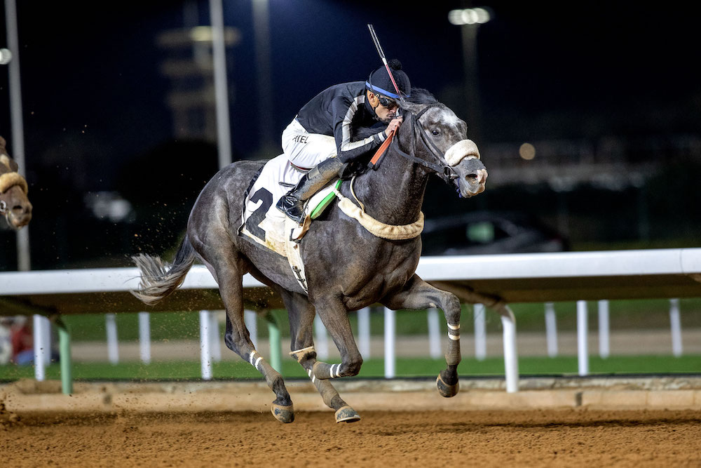 Kingdom’s locally bred horses secure spots at Saudi Cup 2023