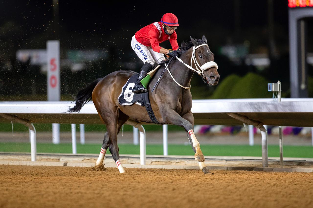 Japan Cup and Prince Abdullah bin Jaloy Cup highlights of weekend’s racing in Riyadh