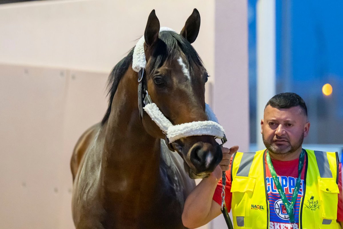 Saudi Cup horses arrive from US