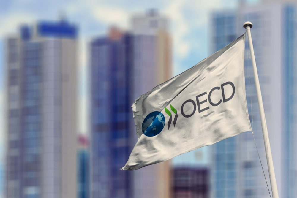 Saudi Arabia uses OECD meeting to discuss strengthening economic cooperation with several European countries