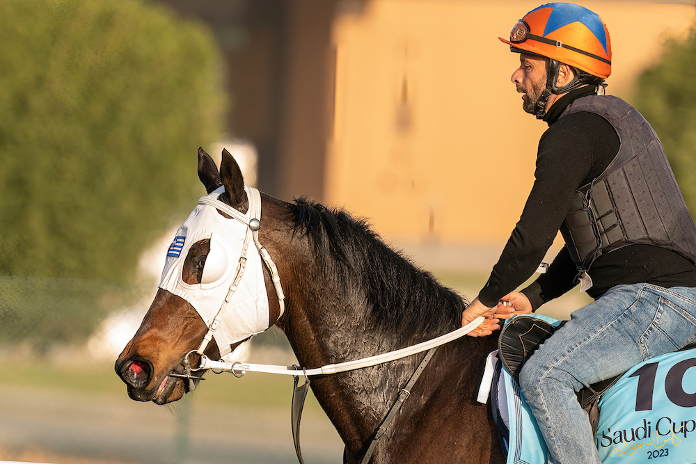 Saudi international challenge dream come true for Greek trainer