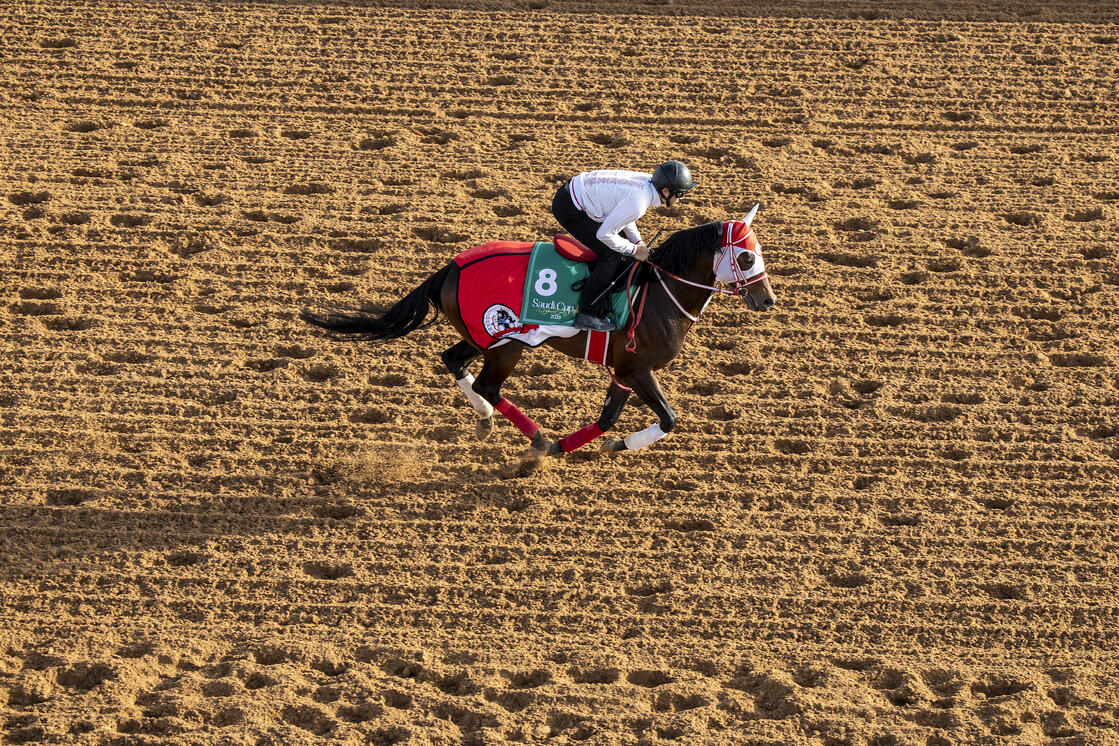Japanese raider Panthalassa works at King Abdulaziz Racecourse on Wednesday morning (Supplied)