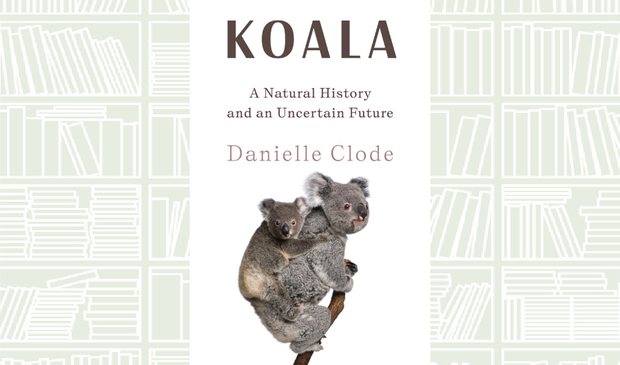 What We Are Reading Today: Koala