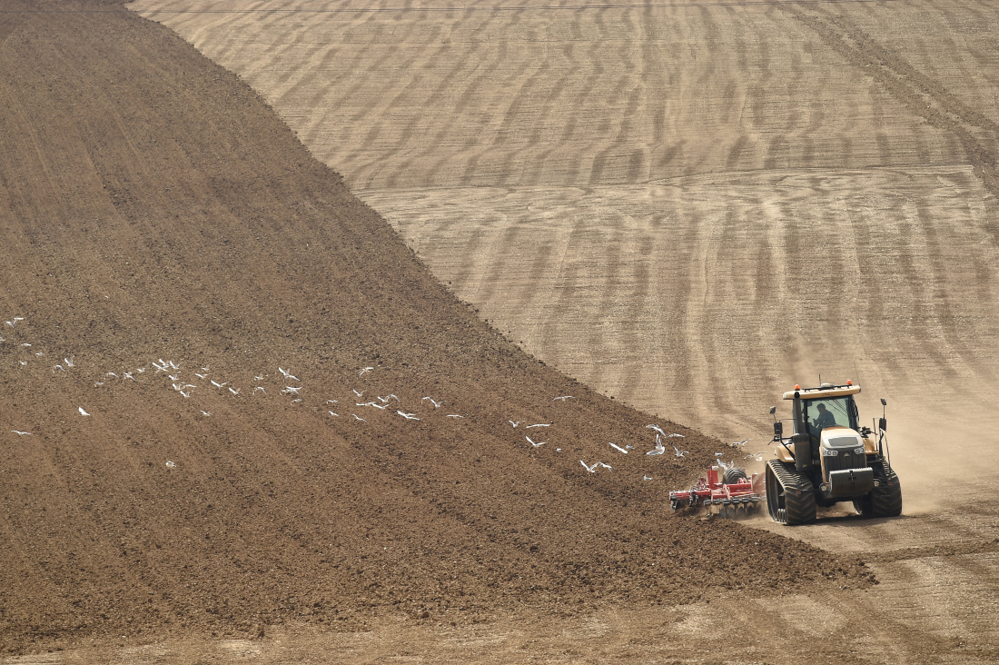 Supply chain issues currently affecting Moroccan farmers would be exacerbated by UK farmers delaying planting crops due to high energy costs. (FILE/AFP)