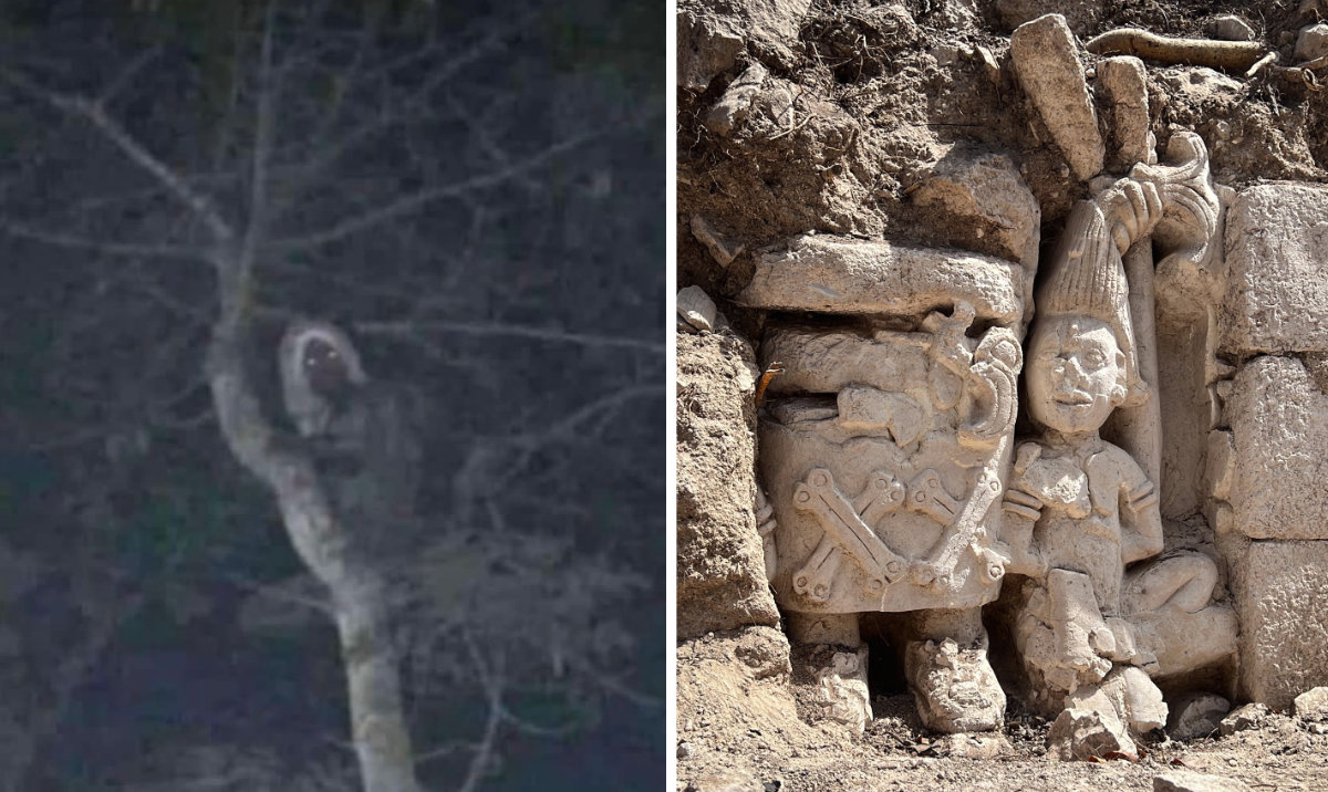 Mexican president posts photo of what he claims is an elf
