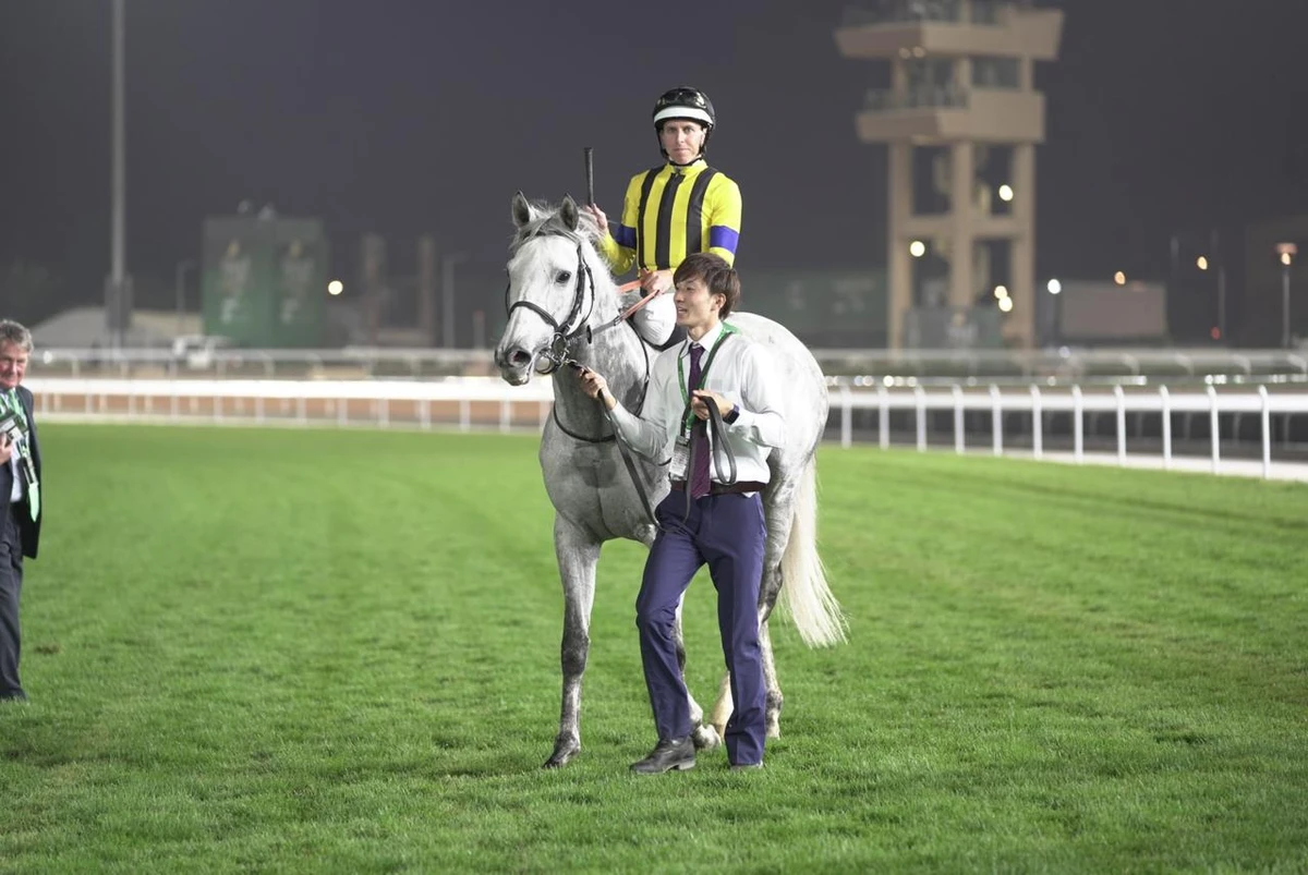 Saudi Cup racing action