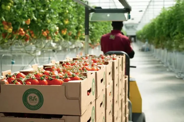 UAE’s Pure Harvest inks food partnership with Saudi Arabia’s Nadec