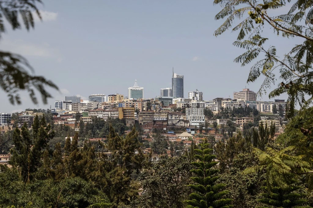 Kigali court said the driver "pleaded guilty and apologized." (AFP/File)