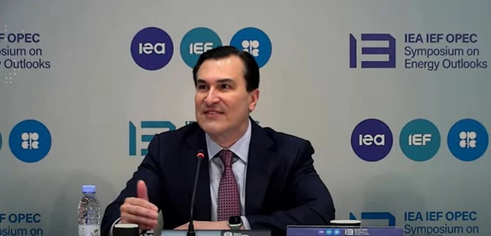 Need to invest in new supplies to deal with energy volatility: IEF official