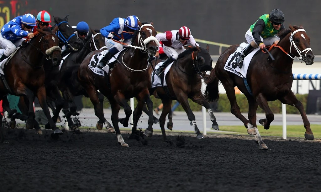 Horses from 10 countries set to line up across the seven races on Friday (AFP)