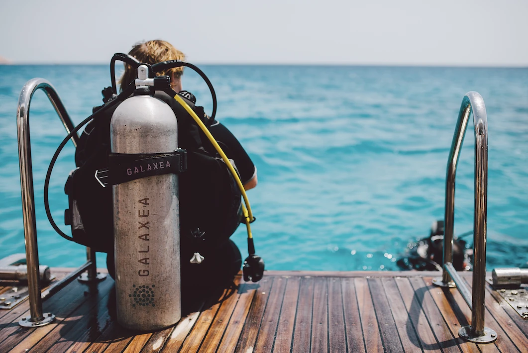 Galaxea is named after a coral prevalent in the Red Sea (Supplied)