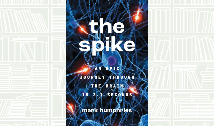 What We Are Reading Today: The Spike