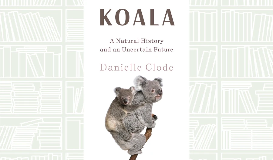 What We Are Reading Today: Koala