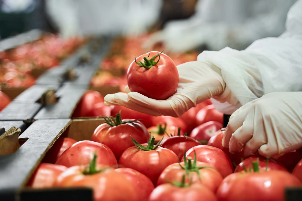 One of the deals relates to the production of for the production of ketchup, mayonnaise, tomatoes, and bread derivatives (Shutterstock)