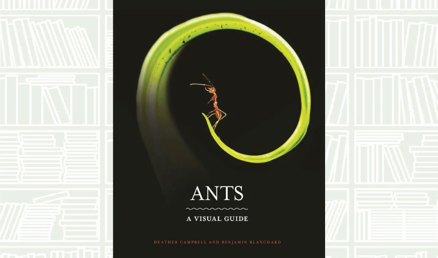 What We Are Reading Today: Ants: A Visual Guide