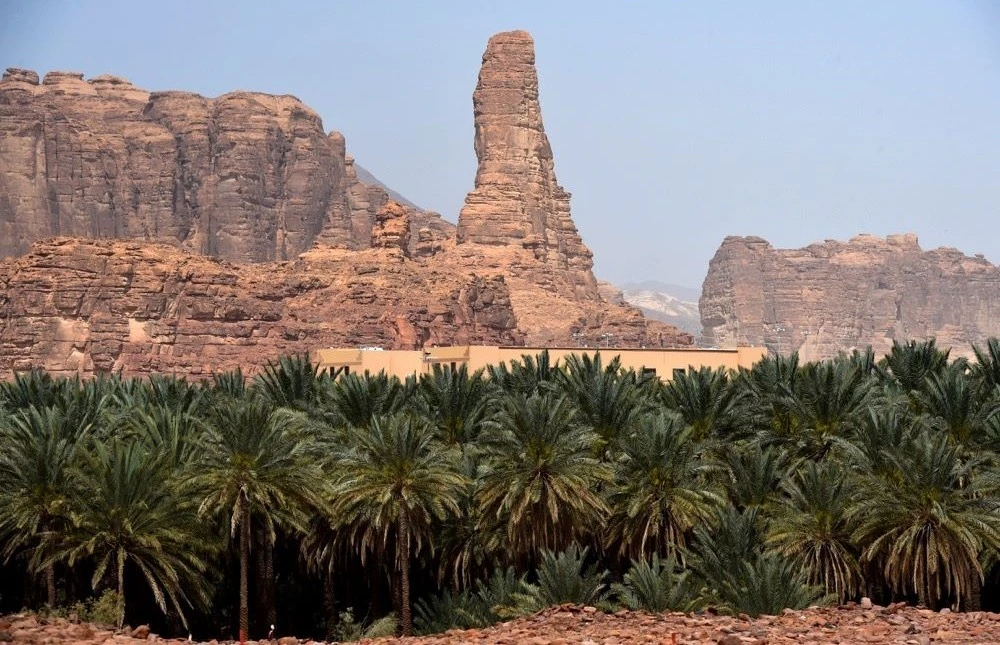 Saudi date exports soar during 2022