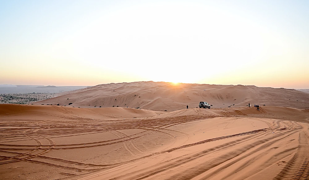 The Saudi Geological Survey is working with several authorities in the Kingdom to develop the Khurais site into a natural paleontological reserve since it contains many extinct species that are part of the country’s geological heritage. (Shutterstock)